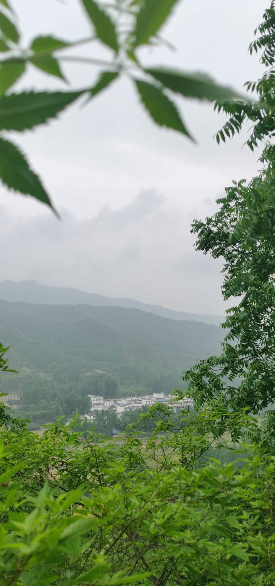 YA91nvEEJDyb_Y7teIicR5QFcpC31-FSywJb8lBKnU5OHOv0Rxa6CiffqklsoQOO