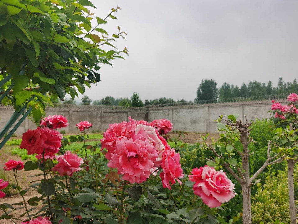 o06mKK7Bwwv_GruNR8UxzIoINMubY9tLW6r9K2h0SIXqOy8Gh65znA7kQH1OAT66