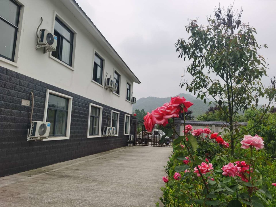 zME0DuHy4Wii076XG0d1Nzn5t9LN-b9vHRFyFG4DPZQcF_Yf6Zk9uzpJdvSf7rwX