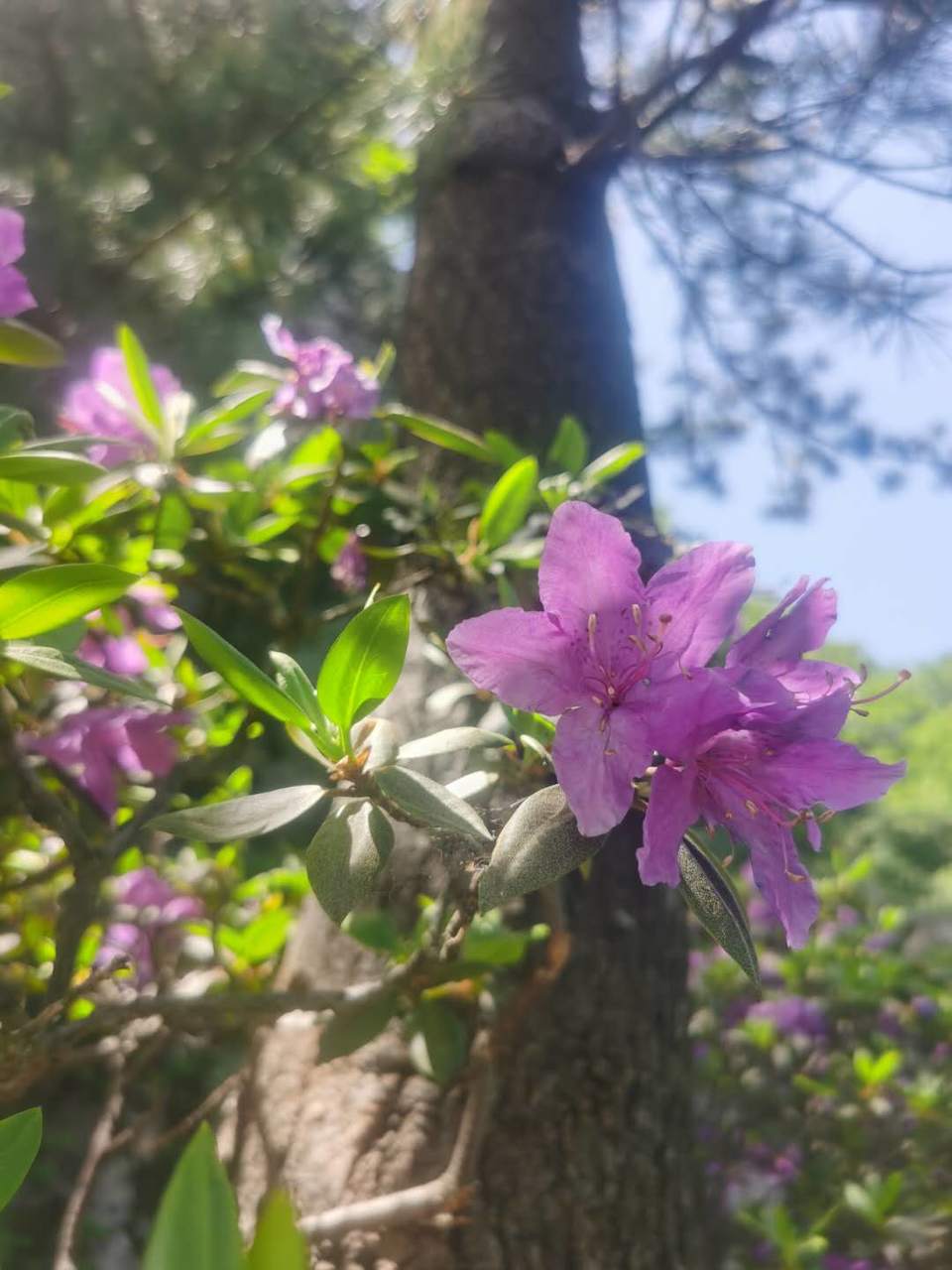 k1xIOXqhKken-Es55mqpA7i2tOmYvAm-5EeqFgBZN2VhPvFrA-R5_C4kpQmJOenL