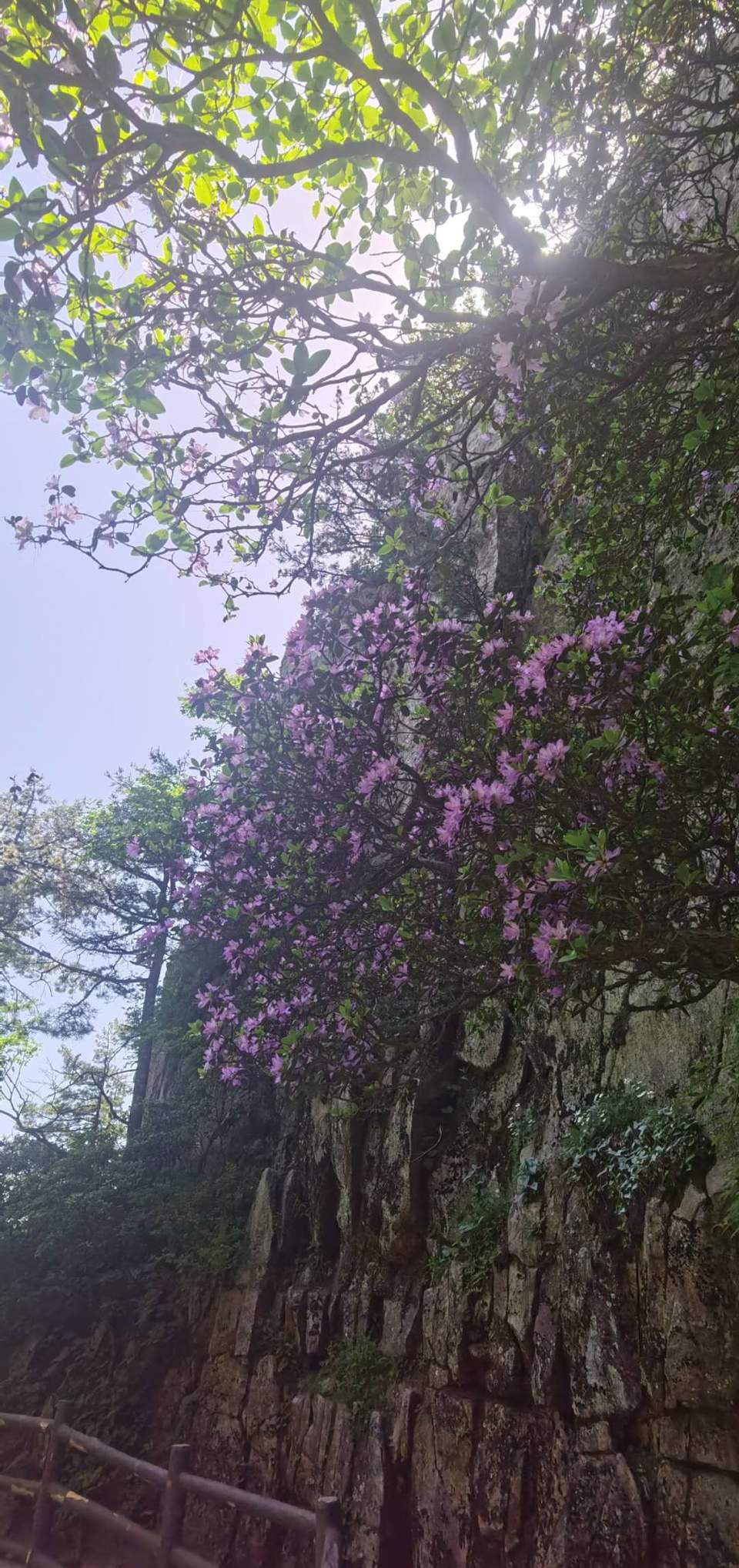 tB6jh0cp3z2LaavpqV11mjBavceUozS50n-u3XP9iVSshg5NbZh4TyYcwbE8A9WQ