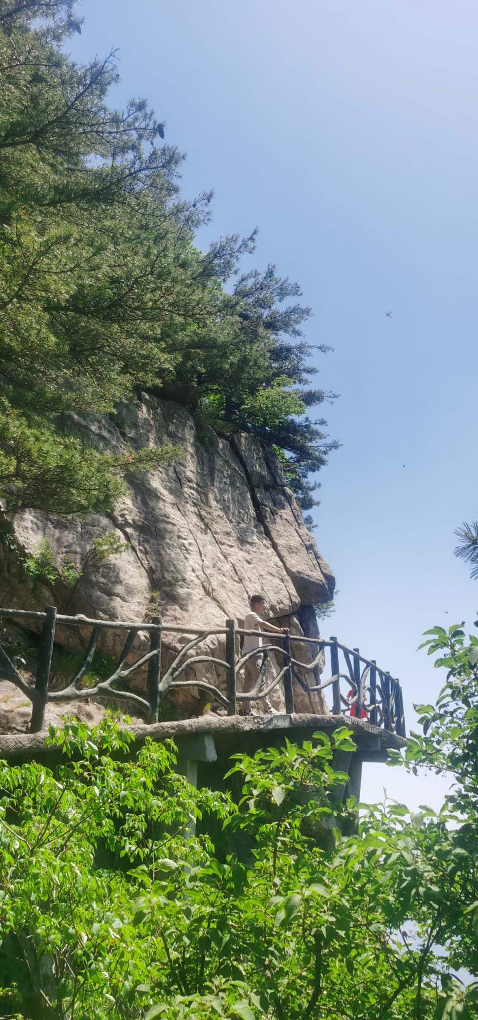 XVEQAtm6l1-1srfXAaXxVvUlry7ewow-1obZrV13qny2pkOJKHWUxzG6KdOx1eEk