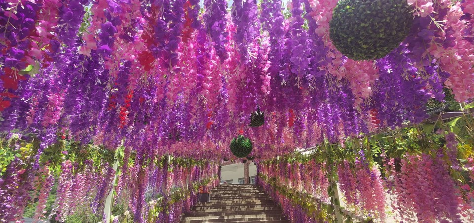 BlgIkhDuH_wRljuTs5bxuinue-PE3X4iNBkIbXvarFq_g27TxEUEA4DDlxmLWEtY