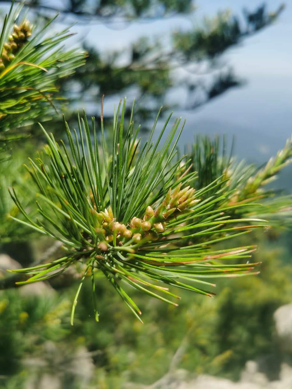 SRfiy-Fxtu-HRg7dR9Uifo45TkT5LYQWmoVy4qiPSH0YCjSM-rOp6a5Uo9U-ZL13