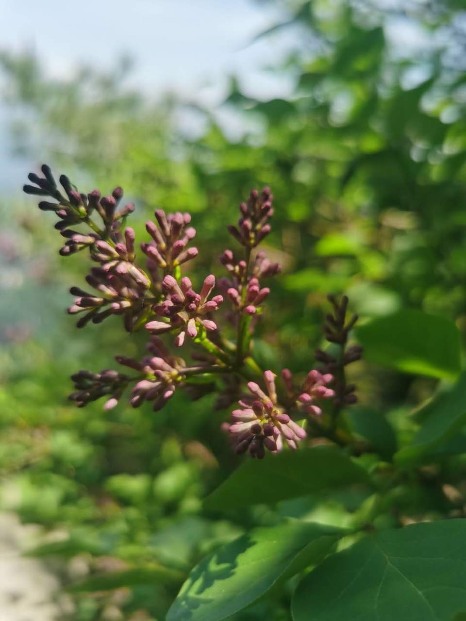 aZUc2T1hosGfGF9wrXALdsTEsMYvkncMRQXlds89bu1mGvhjyCJoiu9wbTWqpvdS