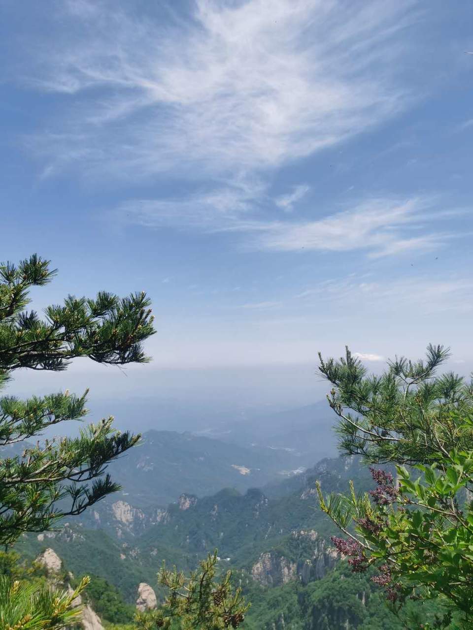 8wo9xlABqLSrDUshmXRUbXXLDLqDfX1mCfOvSRJ-OJtMH4HC4g0XSV7mTwS1zgrx