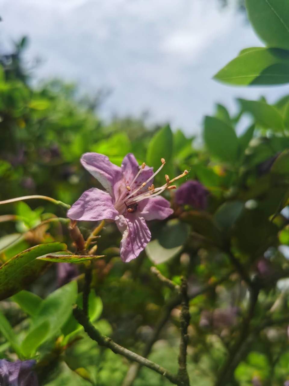 -lZS8Cban76UZb599ZJUR0uNJyvTGbujXqYdTFEmpei26TdFL6Y18P_NYefHvLI7