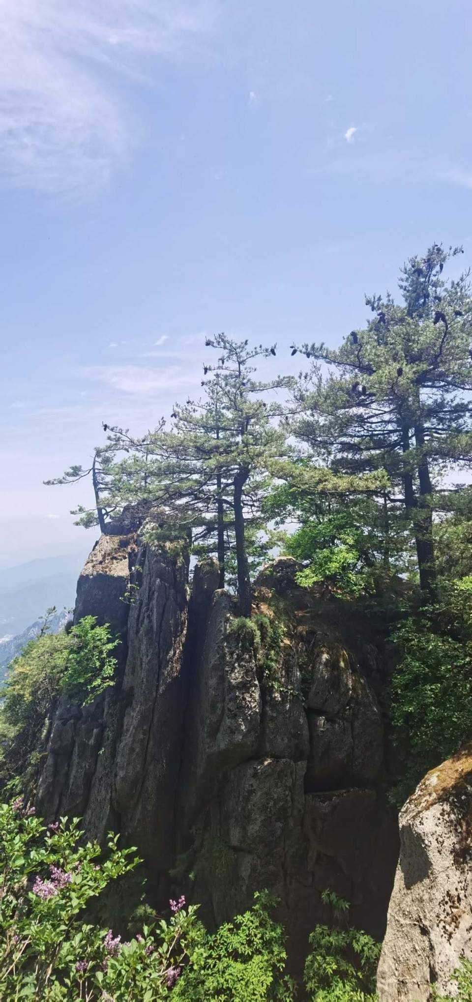 0jOzhtIdn8Zvpfa8lKAf9VGX2mYr9jY2lKB9Ijk2sWK_qAa527O4v7sFeGjWGxnq