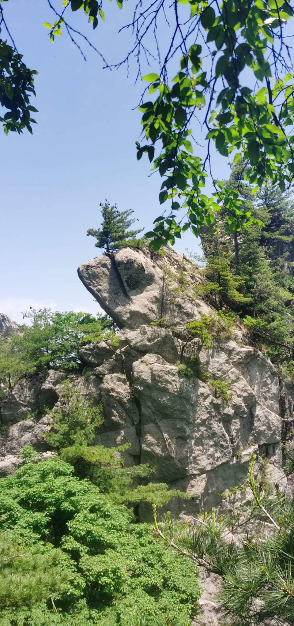 vziA4Pt1_BH7YJxy3Lj_oxreXzChT-KbNSPxbO56xkc9j4SPg9JypwpmvNwIlSKt