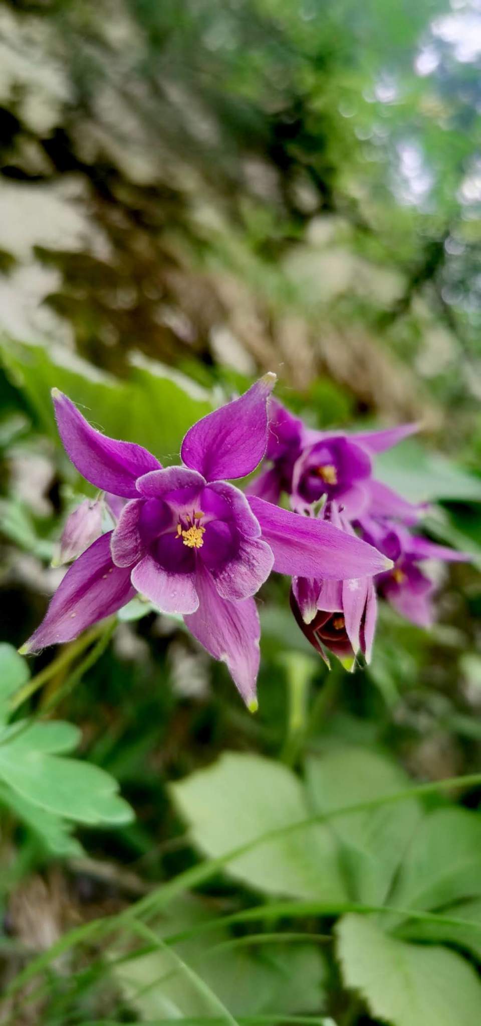 gKvk4iF8-RFAT_dTBvdDVs78hpUvOfFjI7jb54DcTd0xnQ6vRUI5w39uAIQ-vMQo