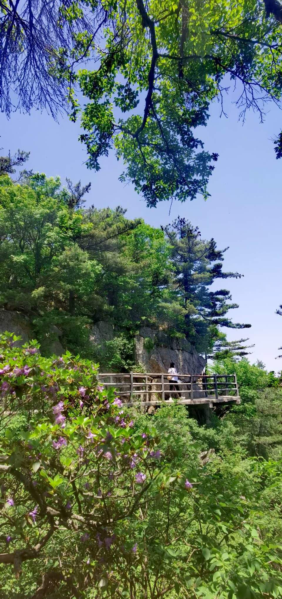 MyJkvBj7Irvxm6QrPI4y6wlea5O1zqgI22e02iq-Li5Lpimez_RYbxS3-LDE0OZ-