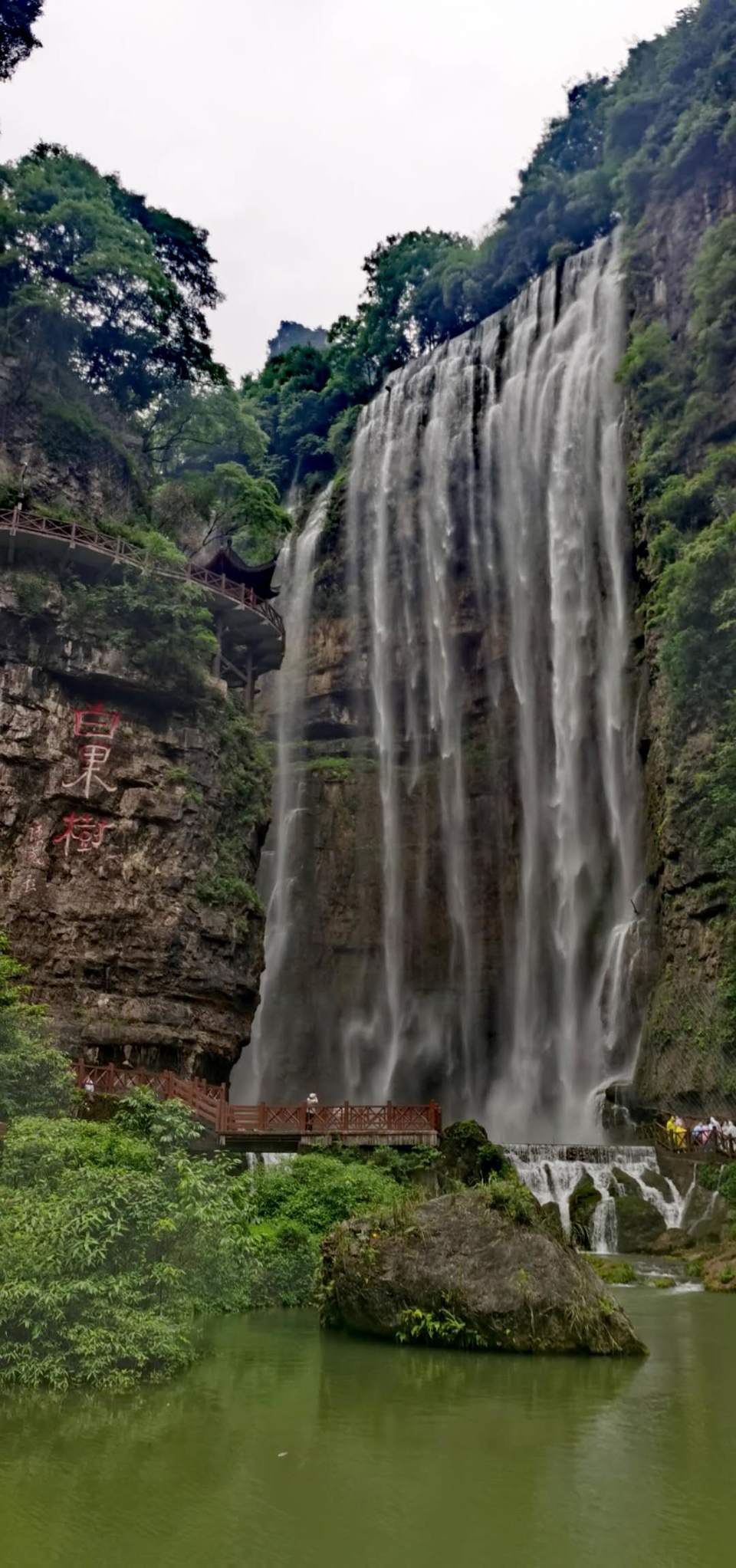 GIXKVvvEUD0CDLtdLQ_SaVAFbcrEBGcIc0iOArLn7JWFrbGKivjBe7bijKZrHkdv