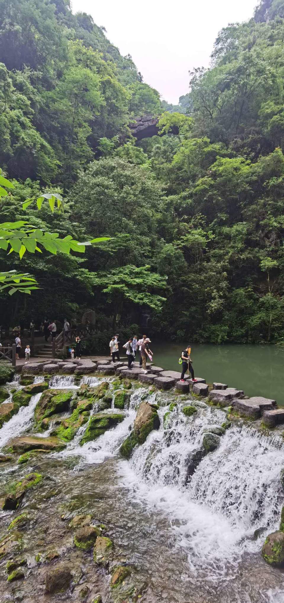 -Fb7UcyMlPnQ1Qz6nmPnjbzTR-MBXMMjKTnj0bHkyDL-gLXn0tkwZ882-z-oaj9j