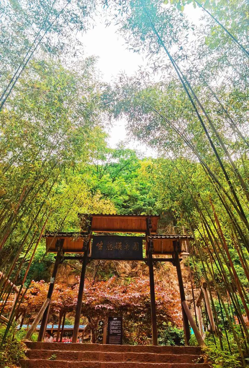 oC2sHNx8lxAzG9pOfcB38BsqmCLh9FiF34PKvXrve1Bw8Nb6Kr40s8QlhMw5FIiF