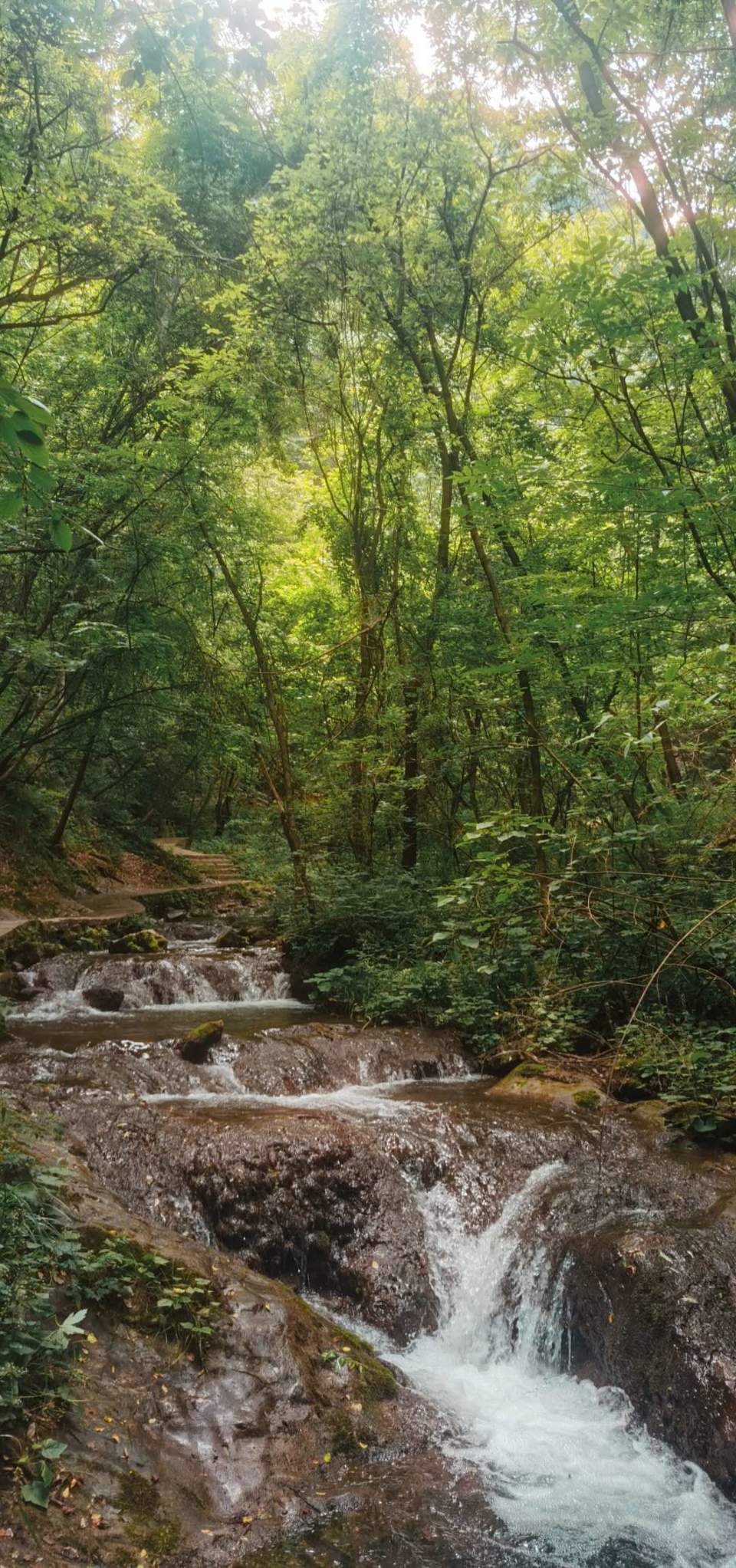 0BC4XLEW1BuCTurNUugdCwFHnVeUPoyBKW0EsAzYwxSyDtaY5zCa_tjKJp11_fyI