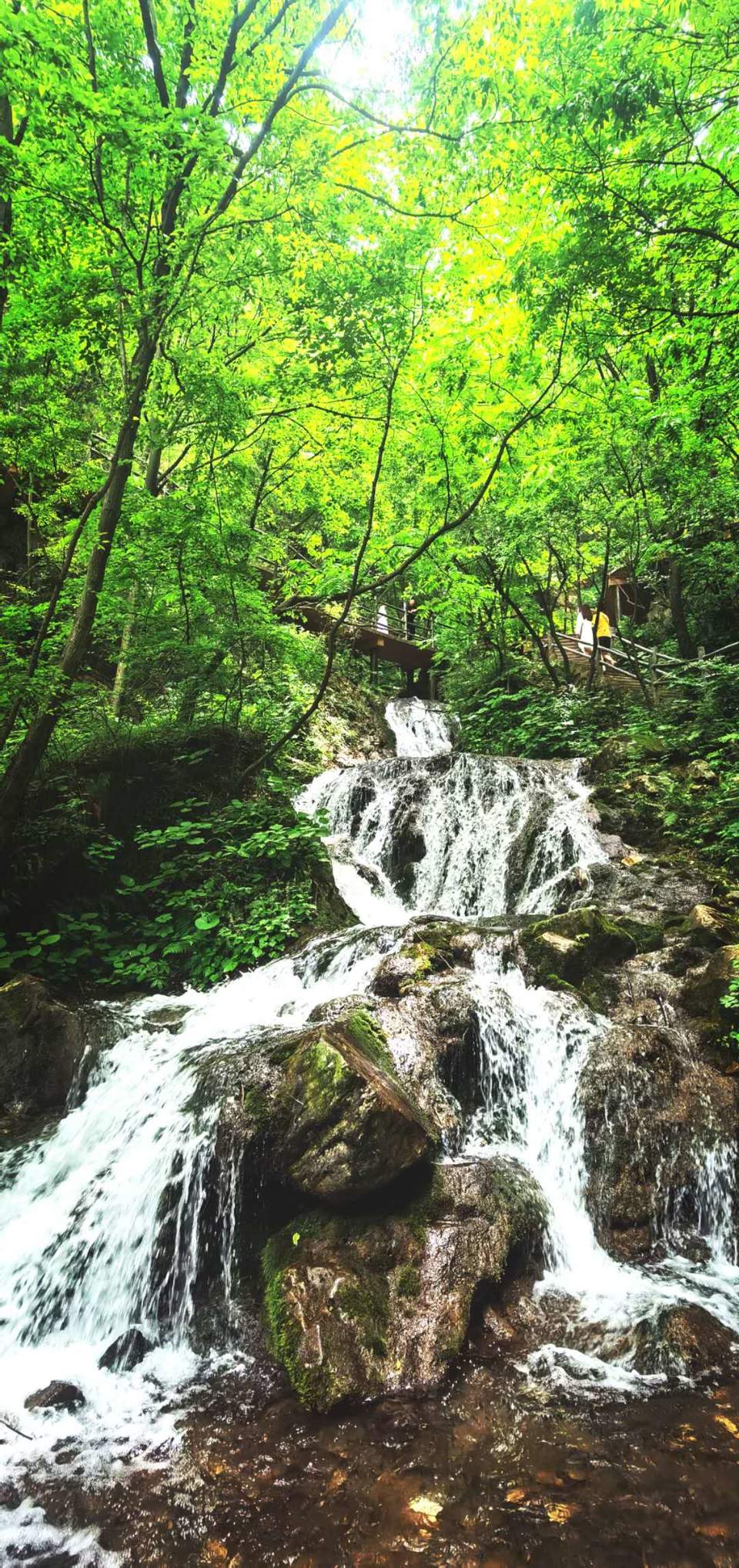 qr_BBpWF_ZPZ06jTPMMHzIMVyFGzZGaPZmbQ-VolxCaK0yoAzPOl4dLxZLENbZNV