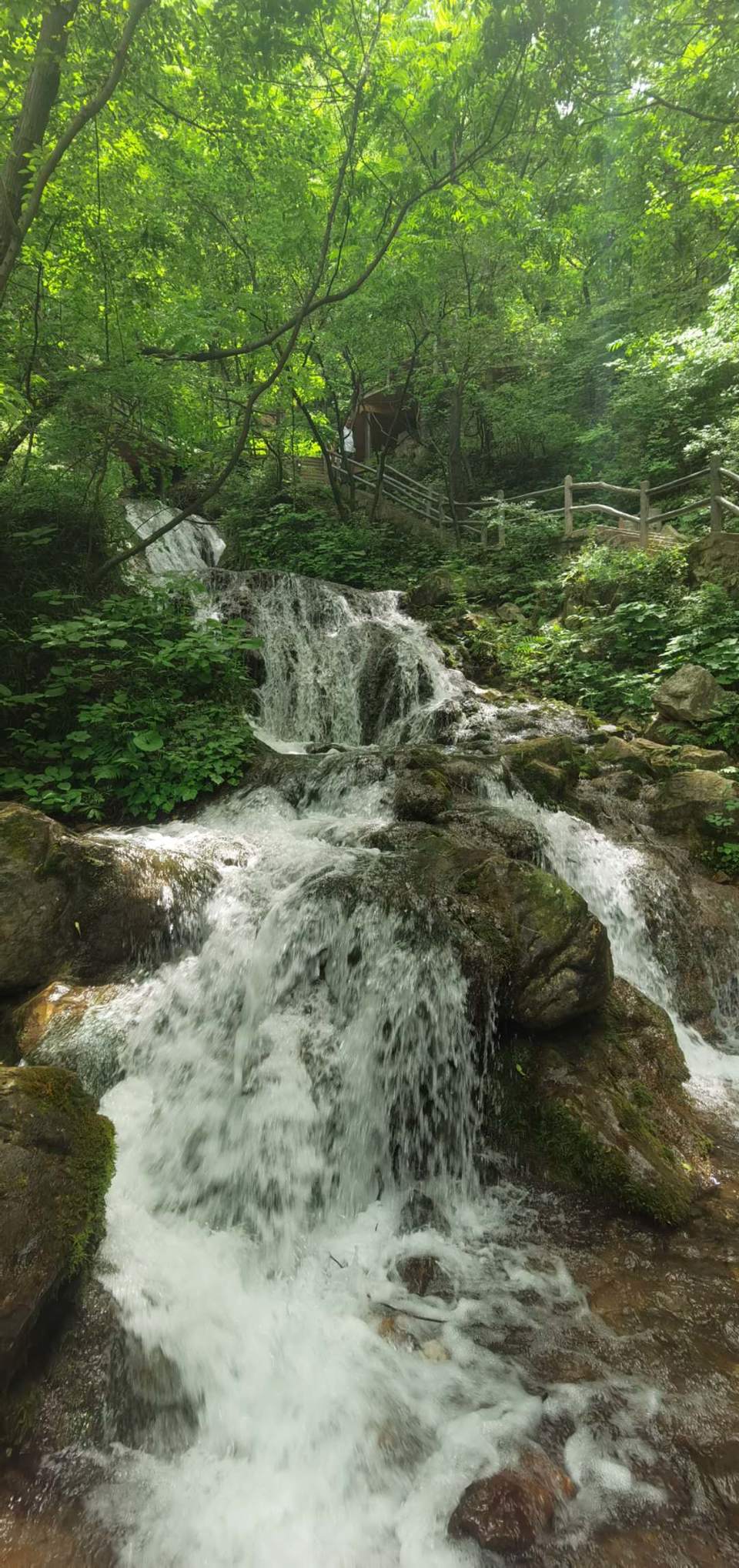 EifyYvzDnZs0eEf7_WITfiacHVl1PO_R_VIaokWCQbvoVM_J6wvyhn1pH-cNMRpr