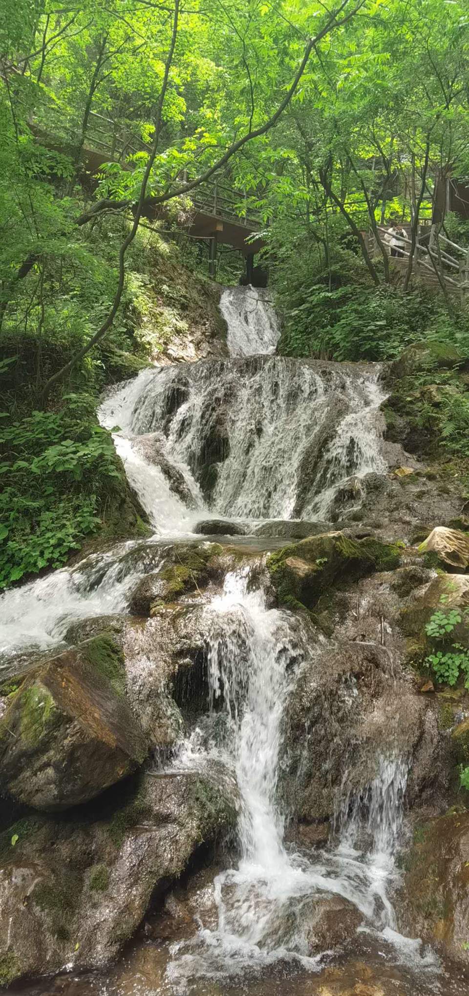 kFKYy_LfV49xLk7OYKJvtPj3flkEv56wyCBWBCkILdIUnyMUa2sZs6CQclkKILse