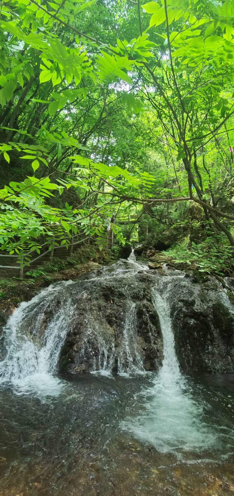 8waL9y2Nu7rUOSzSZxWCrkYhIrGSBMCyLnftsPob7uFpF5qeC4kbIqnGRLW8vg-B