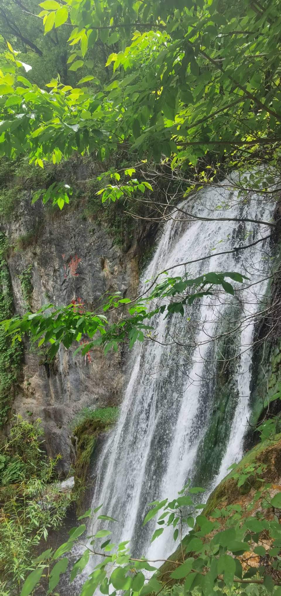 r1kzjhDVRi1I7dqztjk1Z5t-bOzV1JNdw18DlAF68fyzn5UfAvzeOheskoVSNJ2q