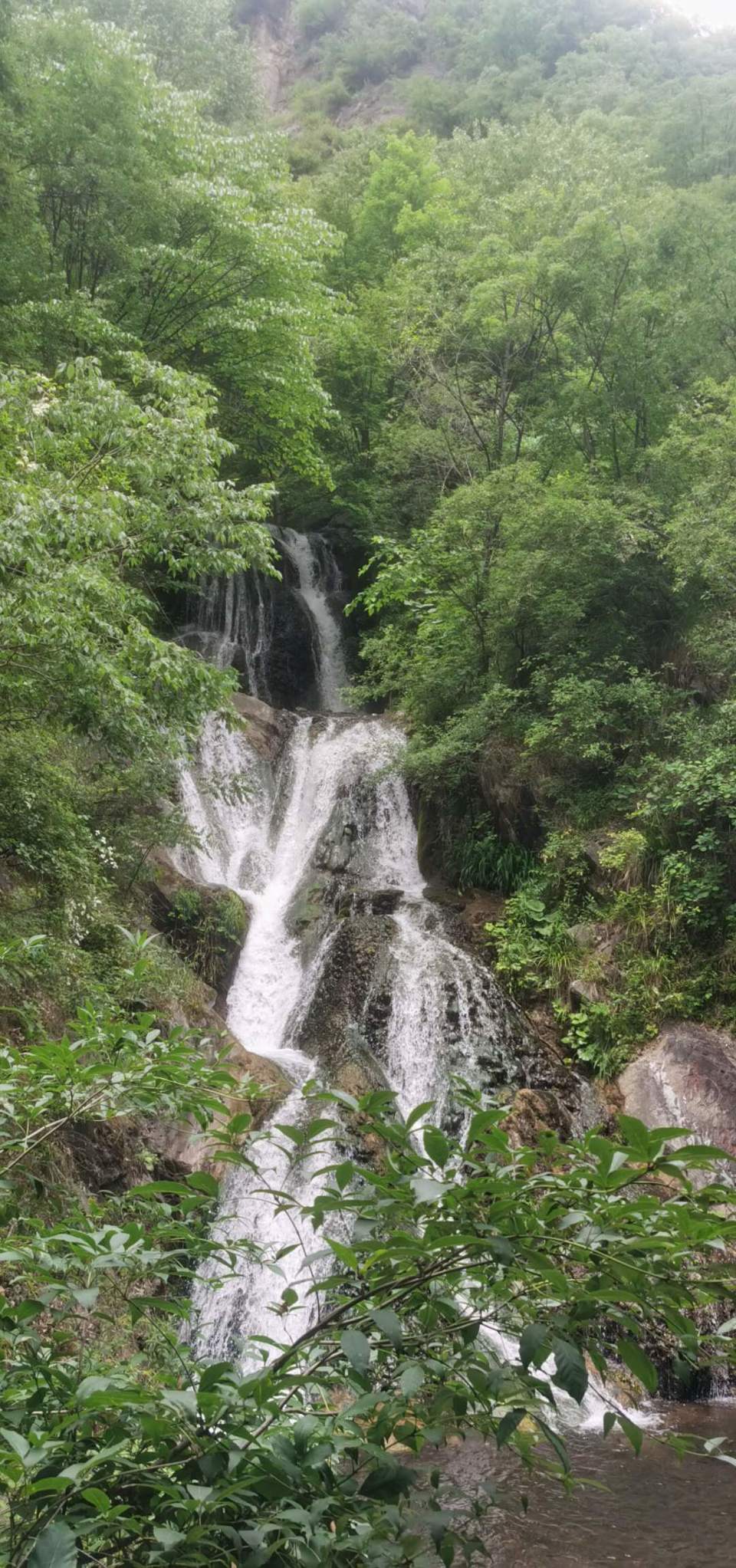 fLoP5qbnWUy_hn7b5ON8z8ibypyhlkNmcqdVTor5Ead2IcePaor9Eiy794gXIC97