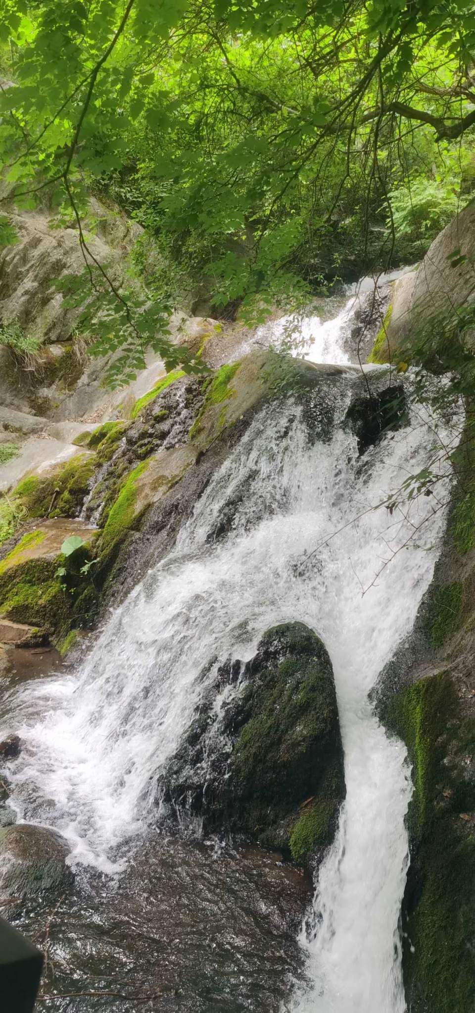 Eq_JCGH56nIDNdUxSNaBZGpfM2jdXfny4JsomxqL6vSXIhzD3s1dy5hCArz3ZD_V