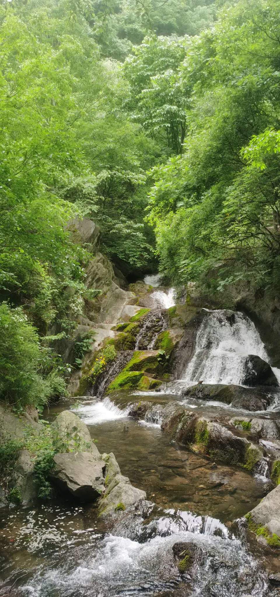 NzmsYWY06s2eAaW9ojY-3HEPtw1m03oAzESaLew2nZLAskd2z06bxisNN4Q4lSqg