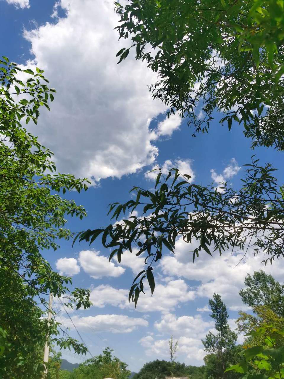 4L8vjuVPG9Ex4iILTN7d0Nhpst8_Rh6hDRfukrOWOL5To2MF7IySskGKTcli9OWc