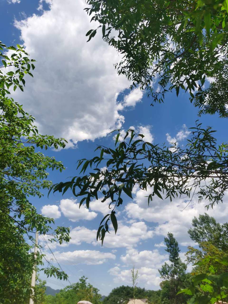 A_pQwNUCoK0cHY_AHmmSKrKSN2bTzHa2mF2zS3obLXrqAAmd4wQb6VOEz6f9fABC