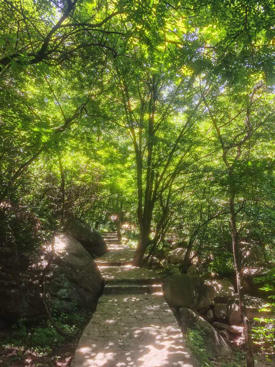 BEDtoieEm6Tl9XWzILzXjuo6luuVo1fAHqKvunbmyW6aNhQYECAQ8OAooW3fepFB