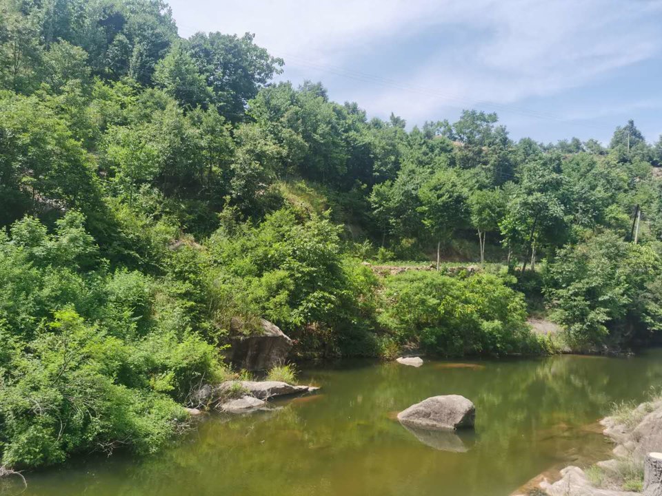 Obfoi1PNpaiSkKmeotBuNos5tBn_IZkE2KmSUzLAFrW1FMu0eojbWg9dGf2H8sy_