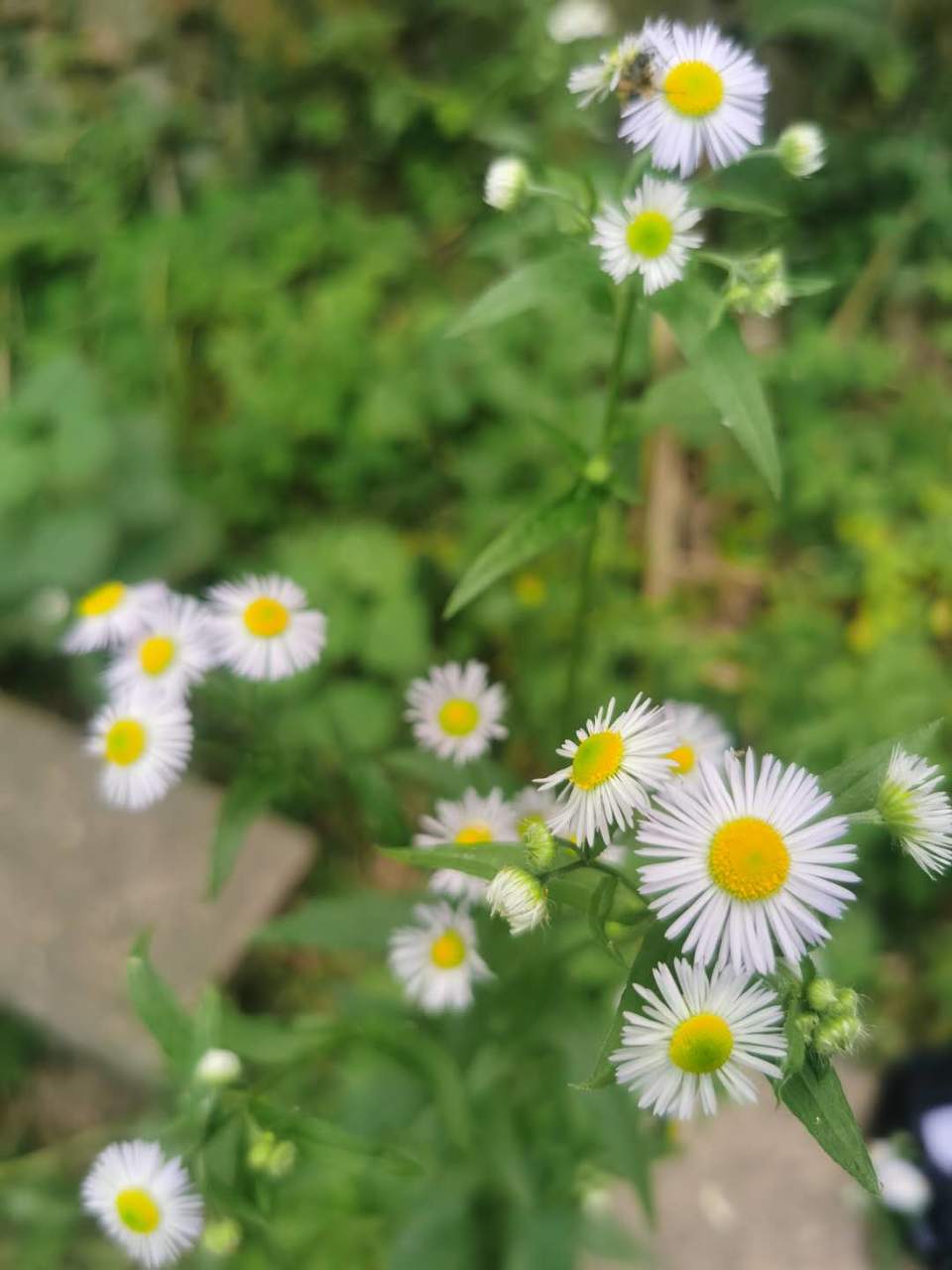 0s2Ty6ns4uBayzHMpGMMJArjjUOeCUPjrkiJisSZAfJyvvuJdLn2Pm4v_wjbcngy