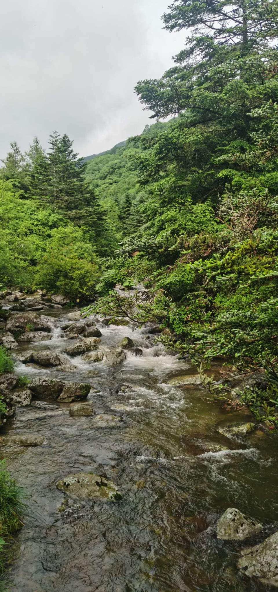 d6ZRsYbMk2HyGtLLIlbIQQiJZMHY2XLpjt9CumzrOaG3rqoh8yVOj7kzvlqCTKyx