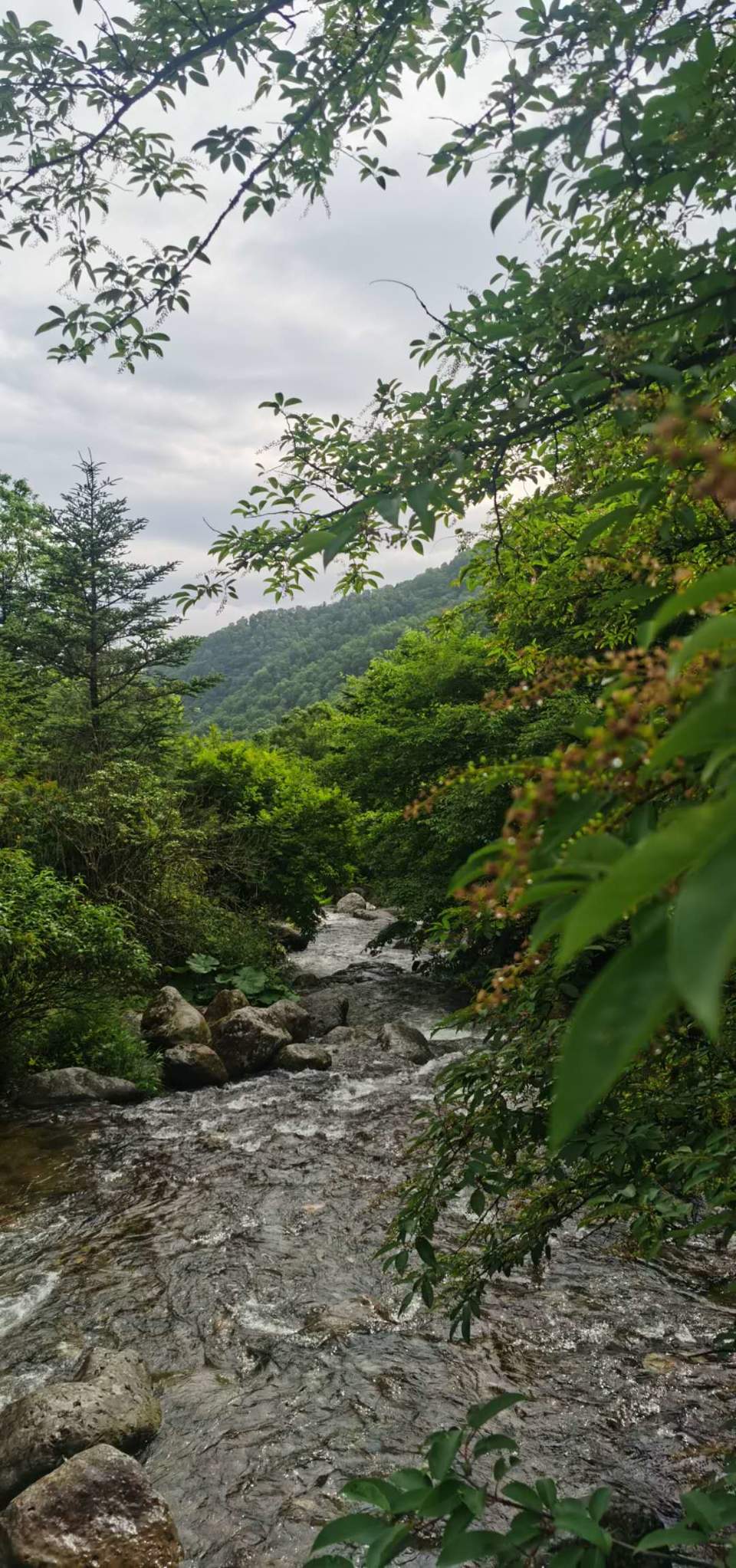 B36DaA0CqdyJKTRbhmtAOvIoiSATEZU15uf8f0BNEWU9xOyXuPcT6-dWJREm8aZL