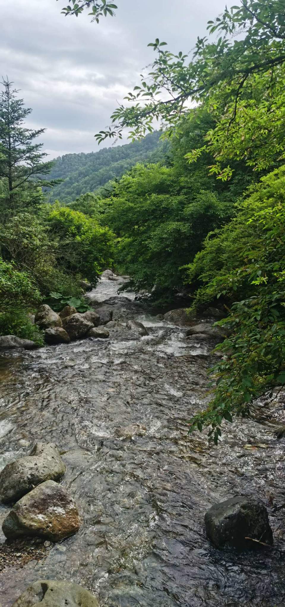 1koHbvMBhqMSMYPeHZZez-rIDFvnzPxSuS_SWDWkKzN31Hqe97K-1uQM-KUcVzjj