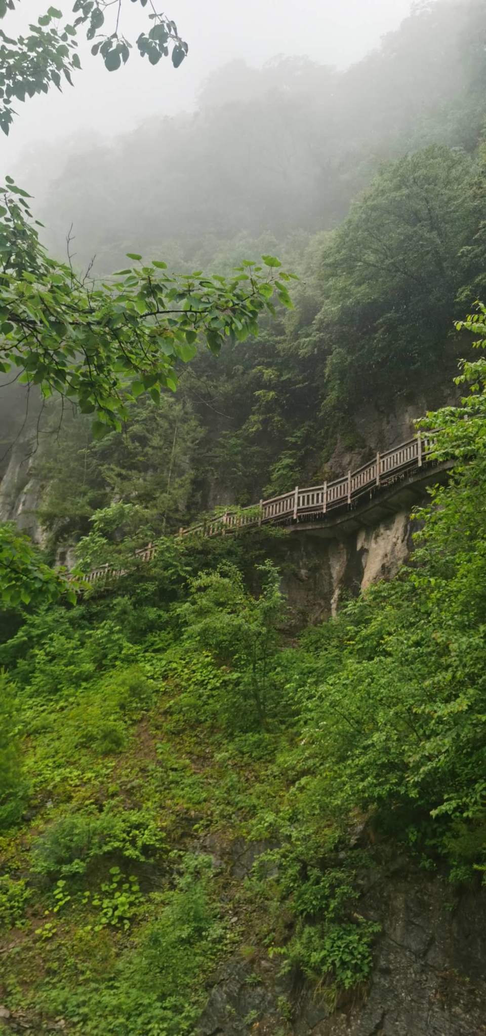 BgQgzfL-afKRQQ4ZglOqf7M3wR9WkvZZ1vGeDAAEIkl5MPnUZRKyhOycJo2DJMPZ