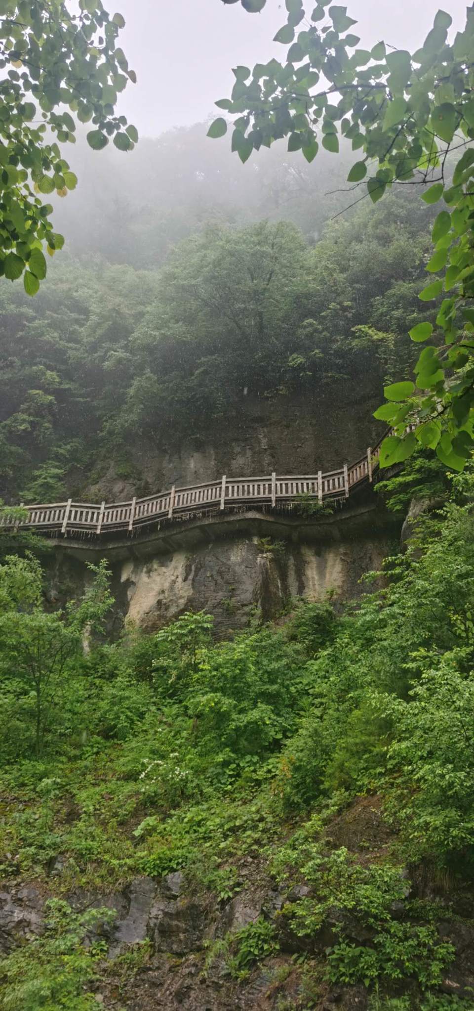 4GVQXC8eQr3GfFFIr89Uk6EQ9b1ftDKpehYF1JF2m7ZOYyTwuMXeah0VKNj8Ts0i