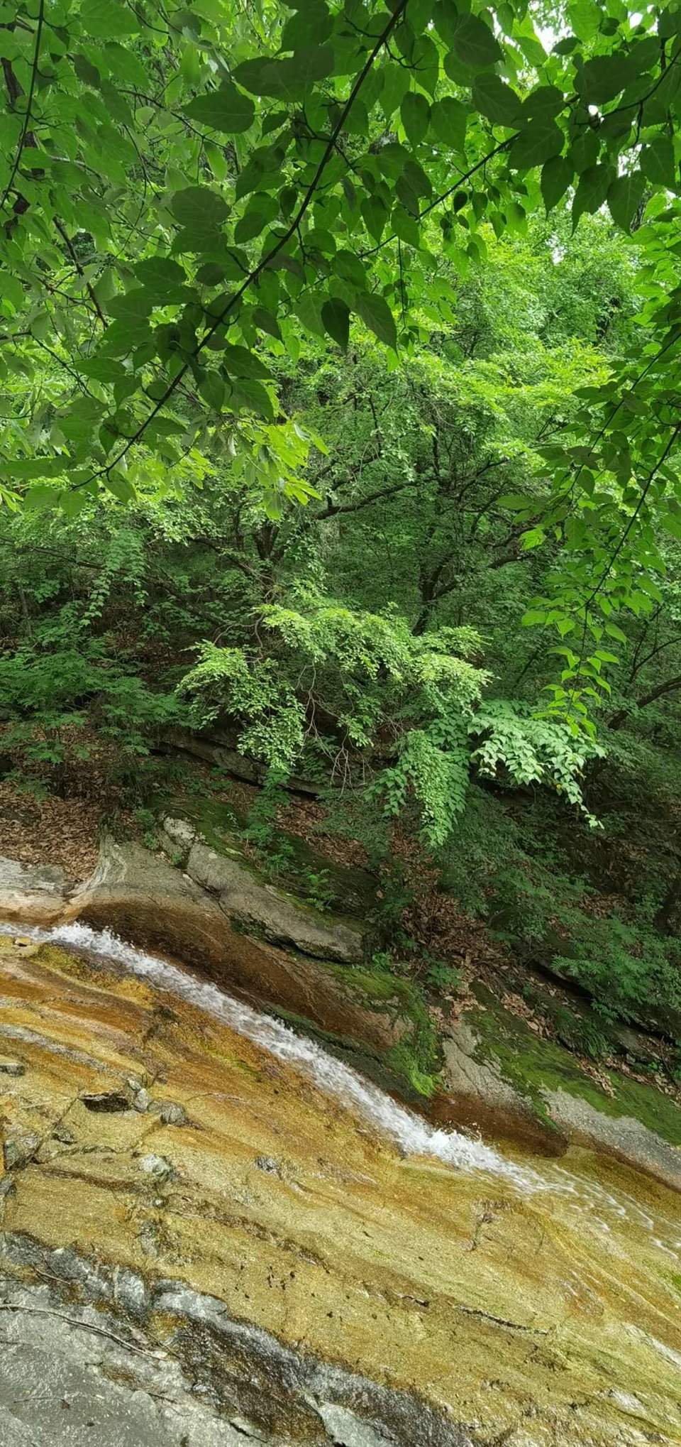 C-RD2Fim8Mi6jvbc6D53byXdhpH74dddiulVTNzoBh4wAf8nYI_K0Muxt4eLzLVm