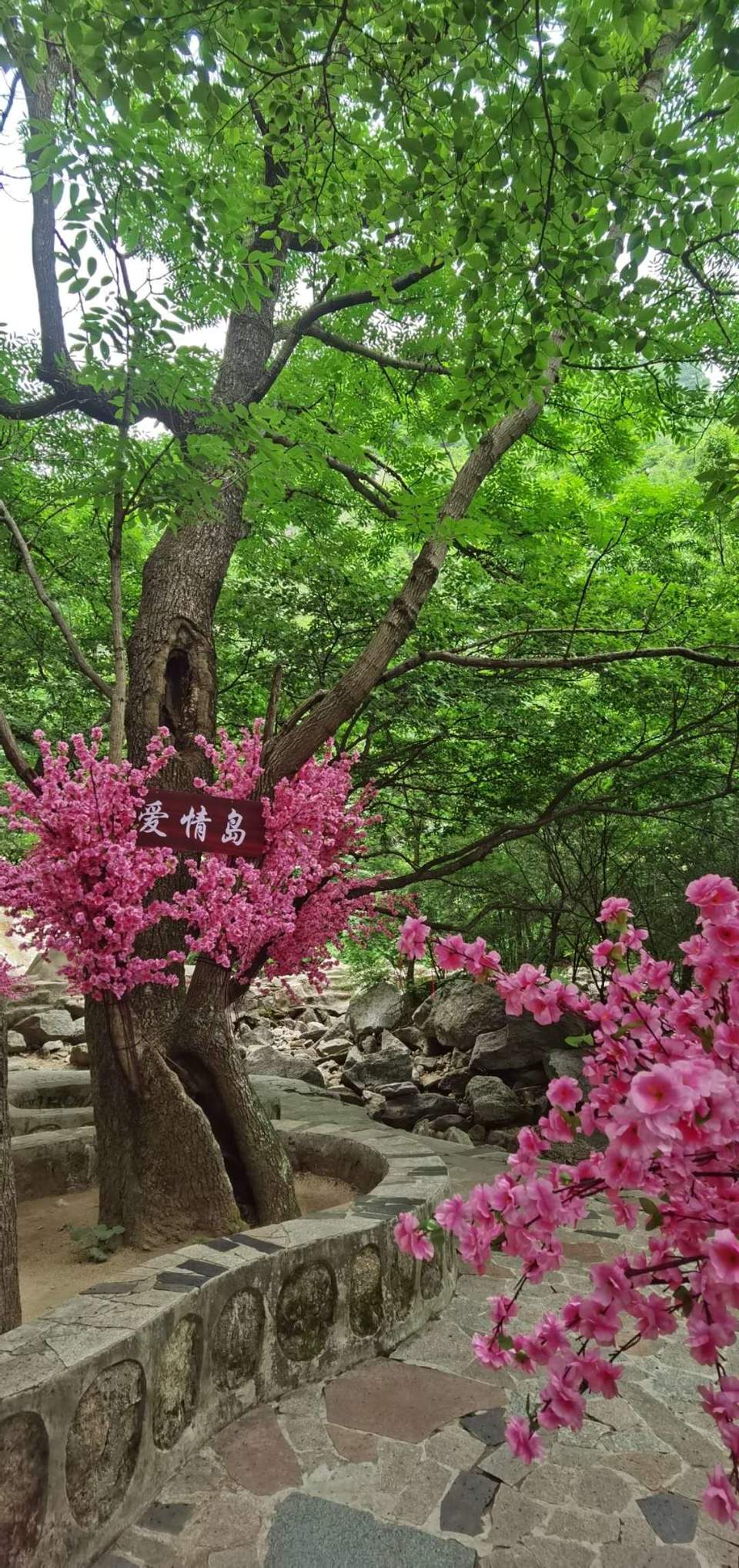 C-RD2Fim8Mi6jvbc6D53b4WChMnzsC4N-8ZU-NKvWzUxCK17ly135fvTkDFy0d7x