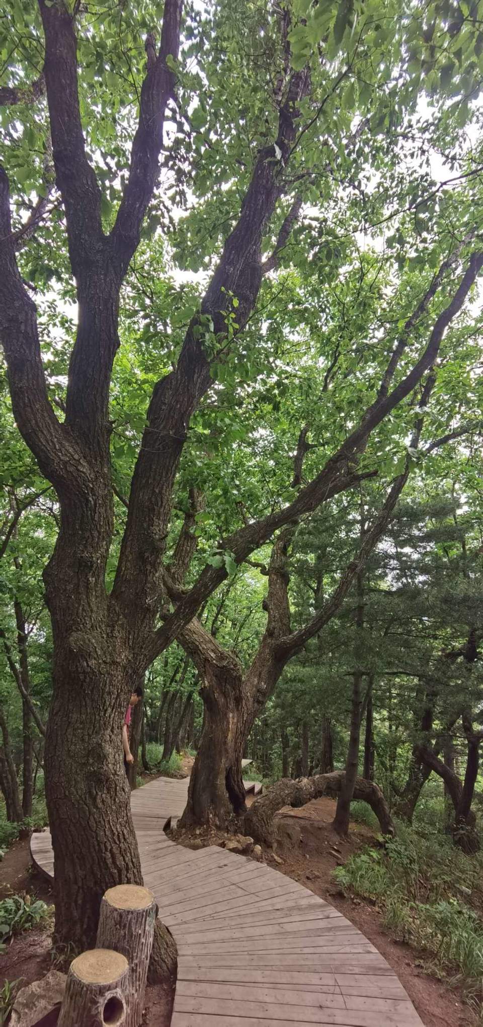 wKBCi4lpUBbEUvuRodw_V7FBEdZR0ndYvCdekB-cKXf59du34FdIn7tSuQkiBVnk