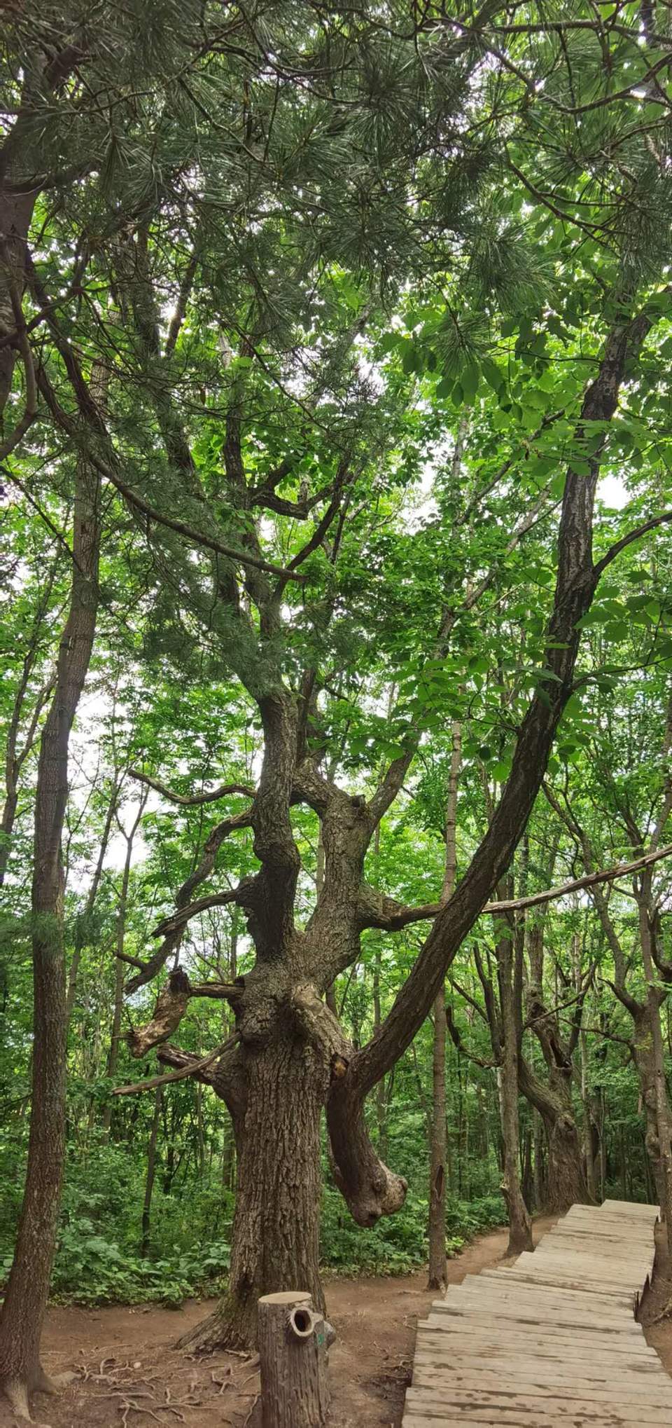 wKBCi4lpUBbEUvuRodw_V3ASfoO30wqSbgcDW1xVEfyjbQ3wVdNRC51Fl47b31Gv