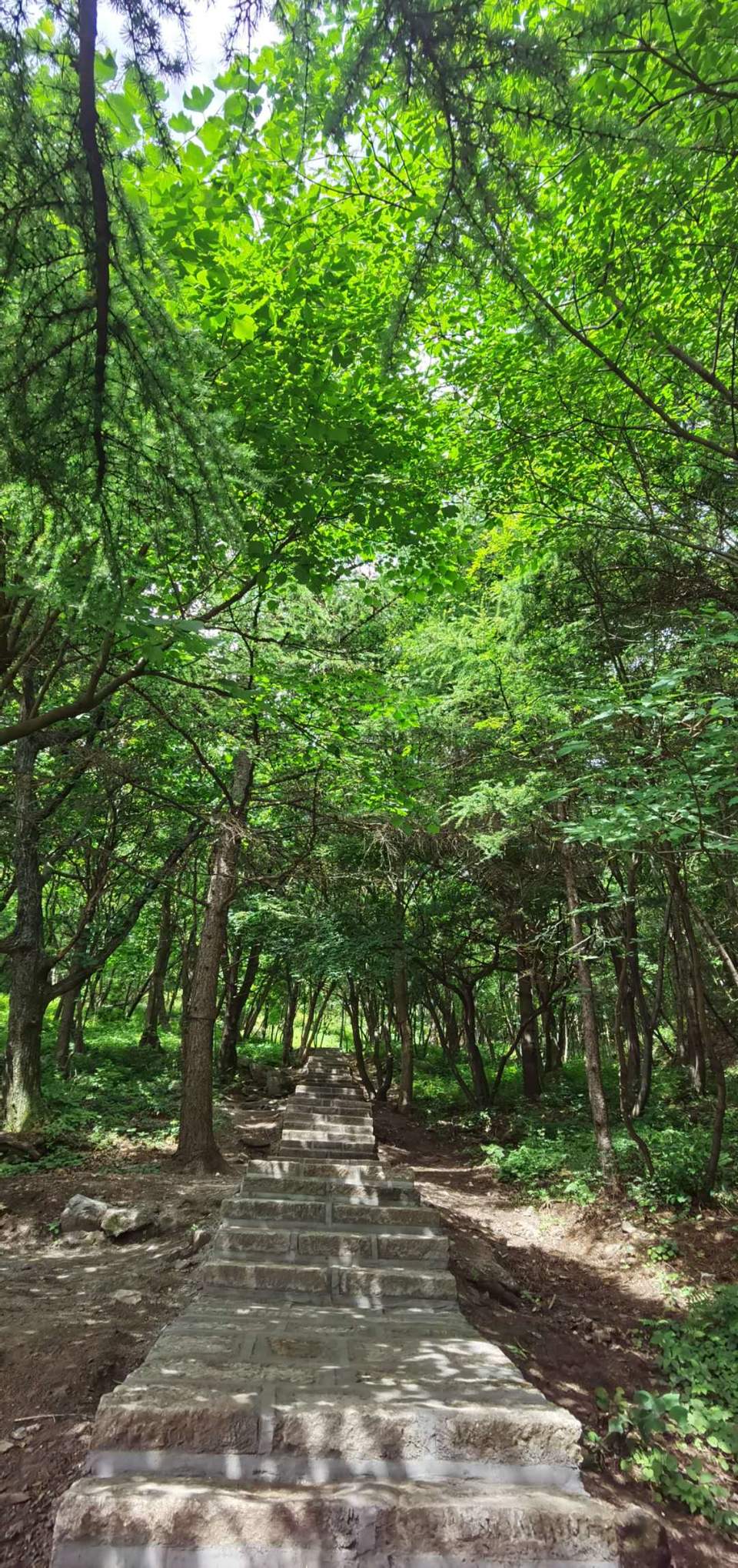 CMJ1zhGuR6M2Q-Gz_eIIcqHGdMmnFjku9BWj_DtIsIZucMzlOm6utgCFwkc7j1rF