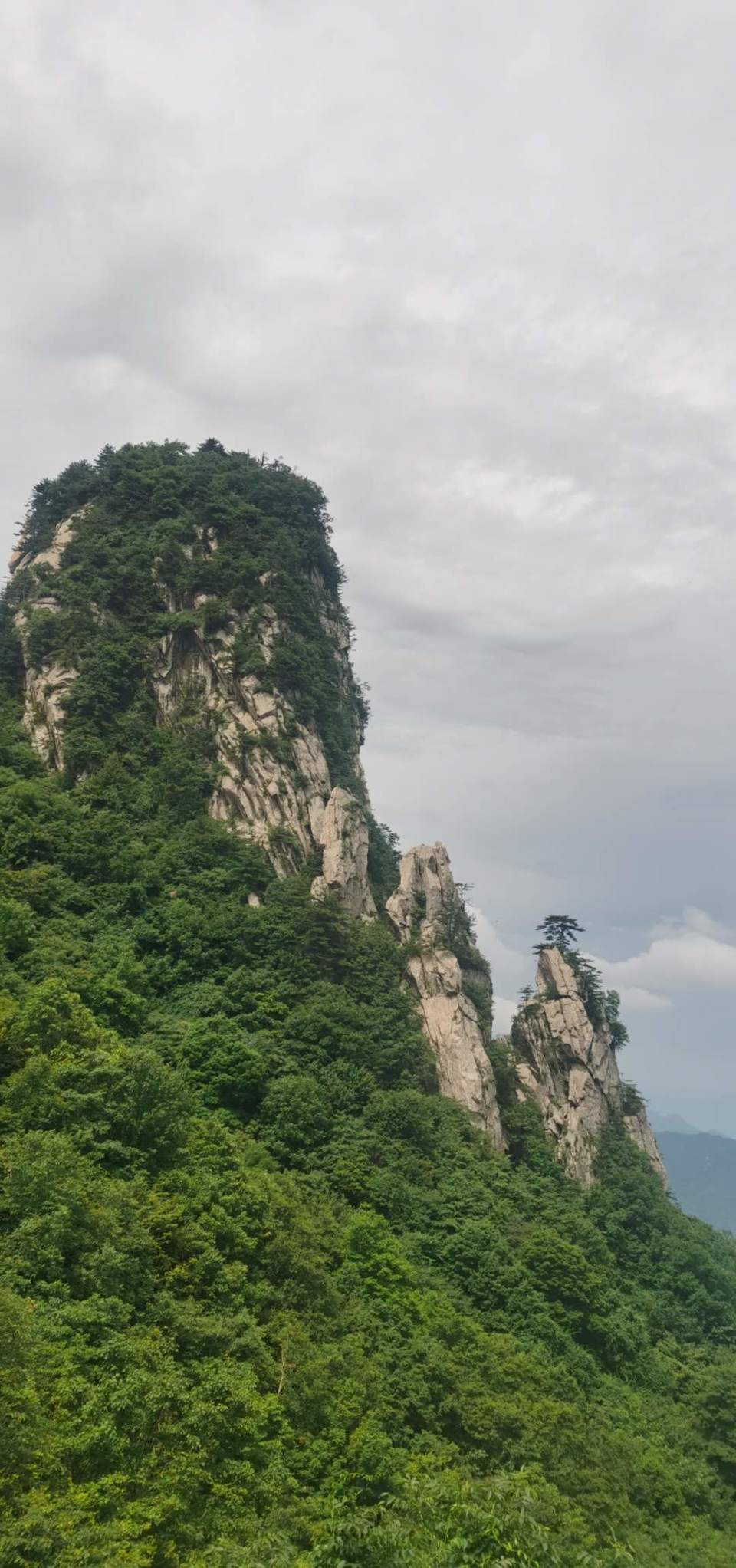 CMJ1zhGuR6M2Q-Gz_eIIck2TAfqkSPjp_MZp-qTAuAJrhxSThBhdqX13h1f8zx6c