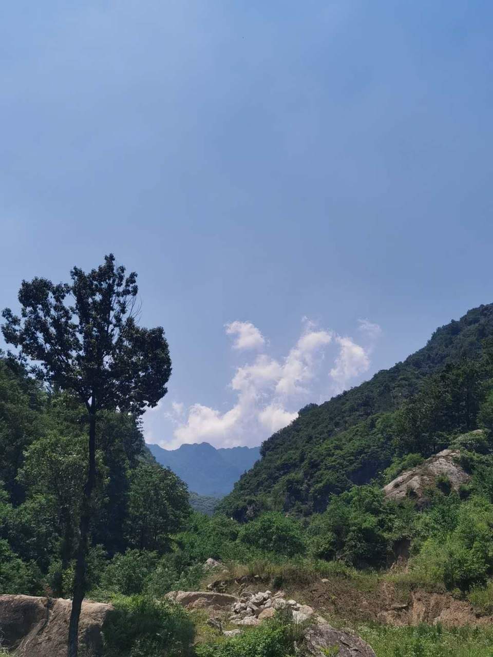 CMJ1zhGuR6M2Q-Gz_eIIcsZ8AMrphmr_eRa9mbM1VGcTmE4S13lc5q4R_bOsI04x