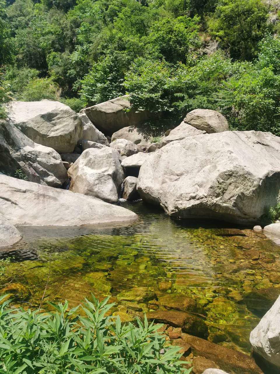 CMJ1zhGuR6M2Q-Gz_eIIcunP5HODrFDiF_RzlECQHNx3MF-z5bGca53EvmdUtMxg