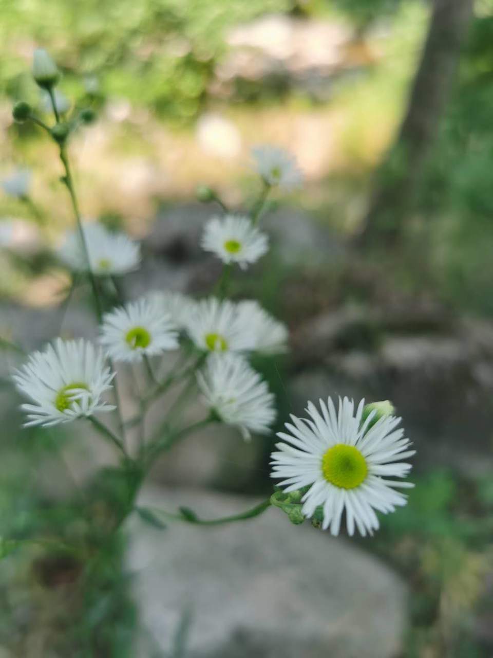 pOuZdWti5mvcEl8OM-LN6MhWbTY797L1S8eqcq-r9axguYFLLhPrgAnAk3ytivFw