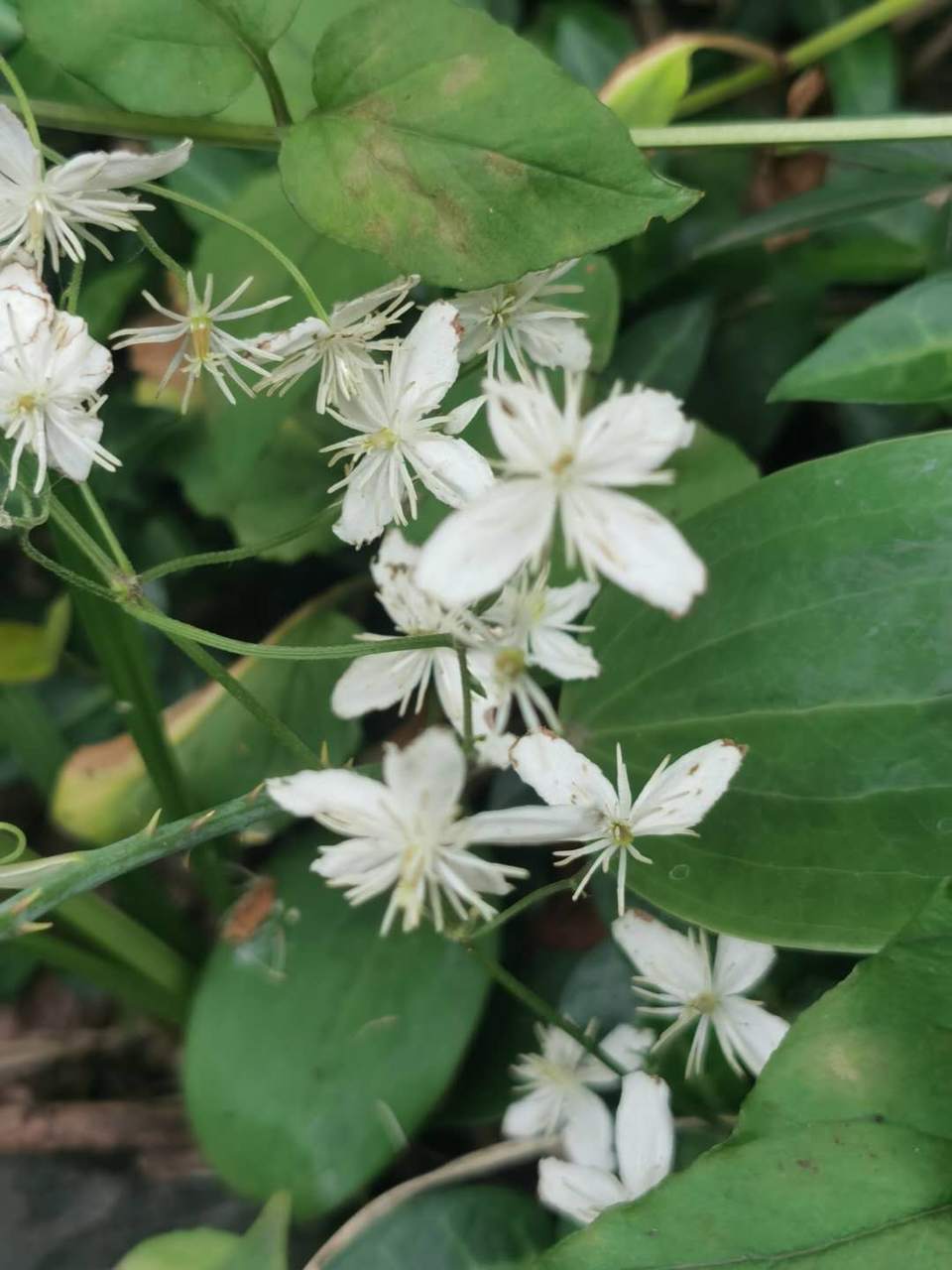 pOuZdWti5mvcEl8OM-LN6NajXAmSXMP86GRdT-nGXBMQCB34s3U8dwmEXipnMpYh