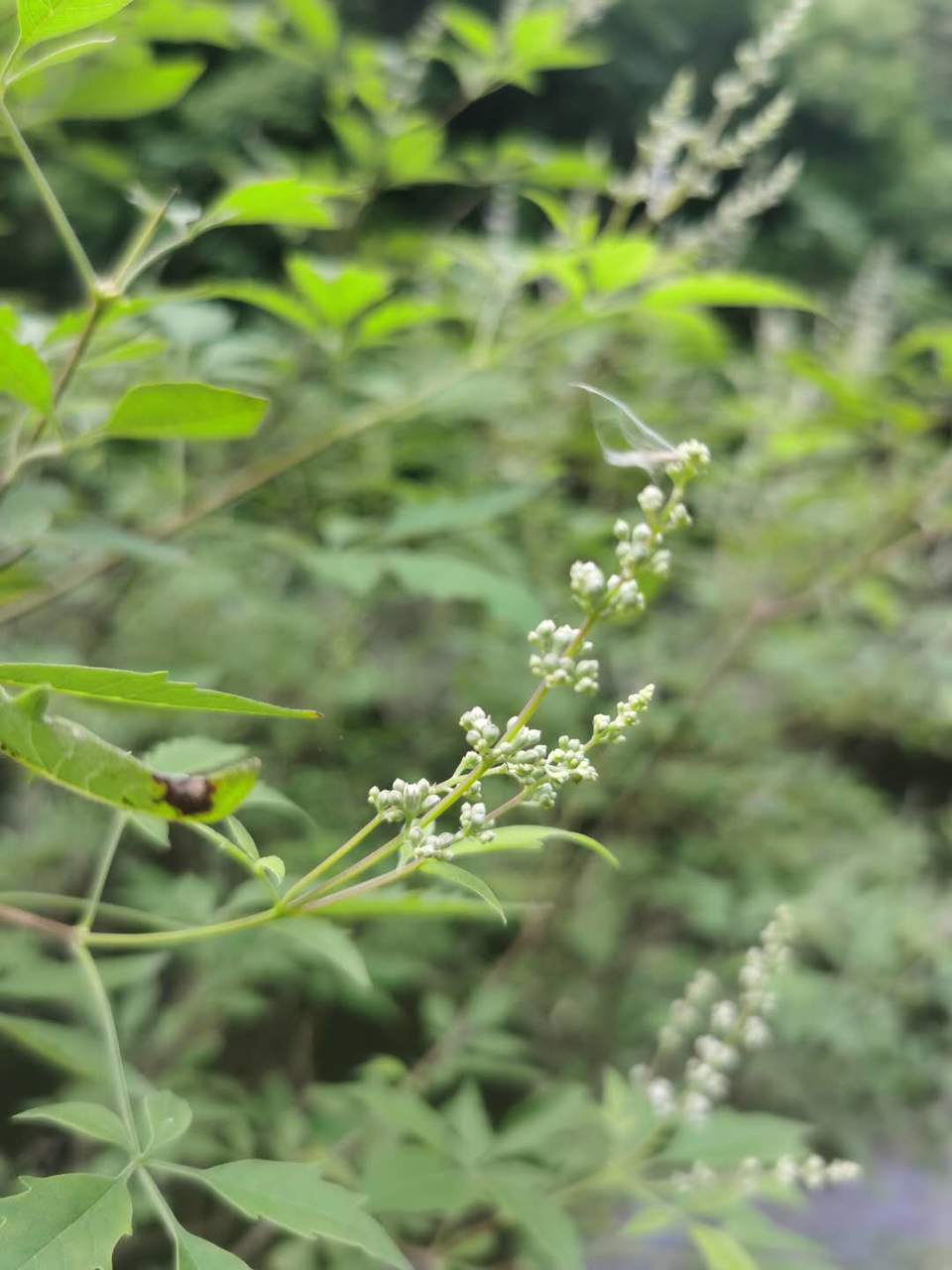 pOuZdWti5mvcEl8OM-LN6Jza7kupZYVKCGMPXX-SBNEU-HJyk-V1Hs6UuI_Fhhsd