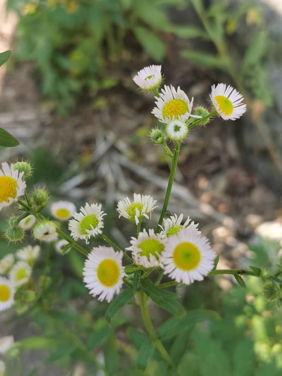 pOuZdWti5mvcEl8OM-LN6GkbKgeipnKtLH60DhymYqLewzp7MxVEu8EbRYU-XA3Q