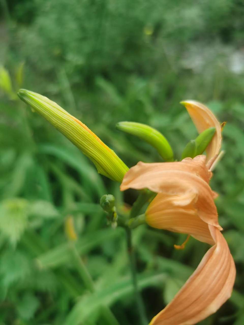 GYTk09VLnJhXc2FyZPffCJGr8DYpQNd_PXgw364eHr436BlptdeJe2QAA8SBsftr